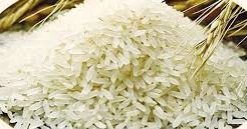 Import of 50,000 mts rice from India, 2.20 lakh mts wheat from US get govt nod