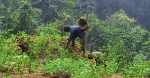 Climate pressure growing on CHT ethnic communities: Study 