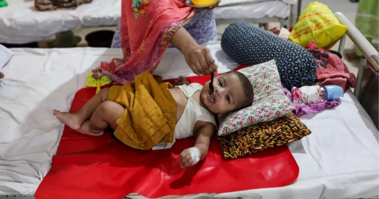 2 more die of dengue; 964 hospitalised