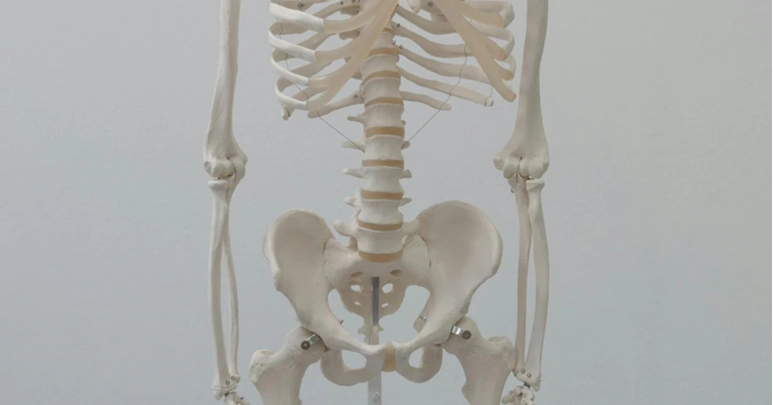 Bulgaria finds 6,000-year-old man who survived lion attack