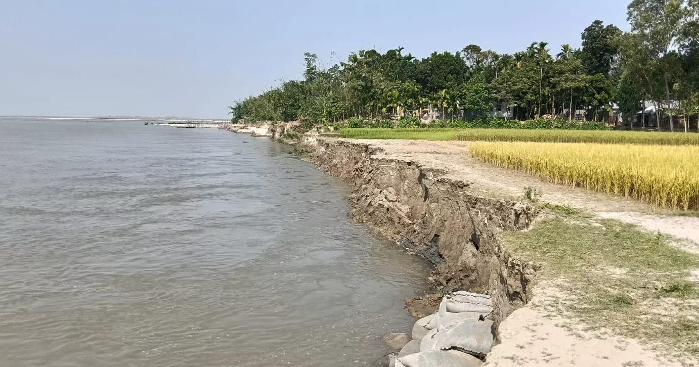 Brahmaputra erosion leaves 50 families homeless in Kurigram, over 100 at risk
