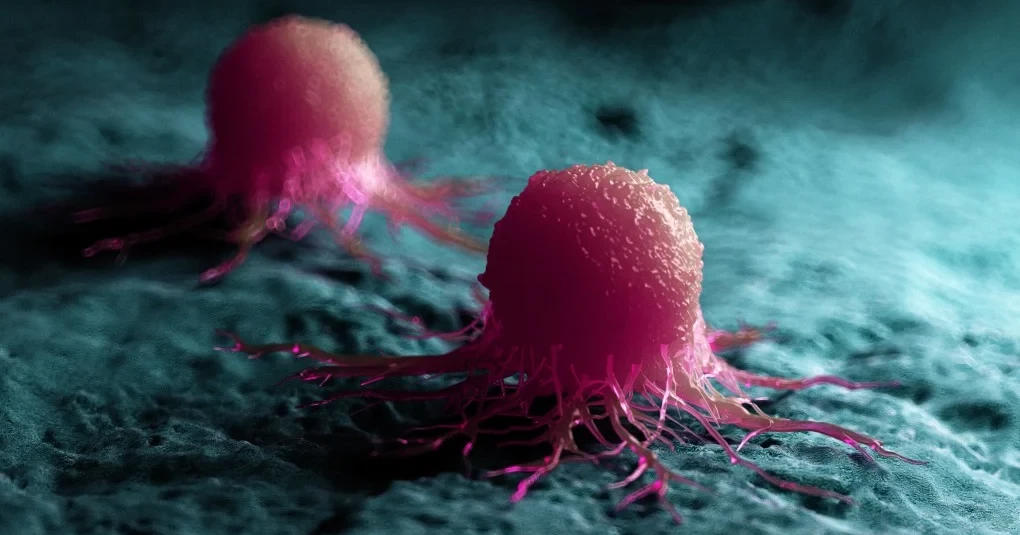 Chinese scientists unveil new anti-tumour immune mechanism