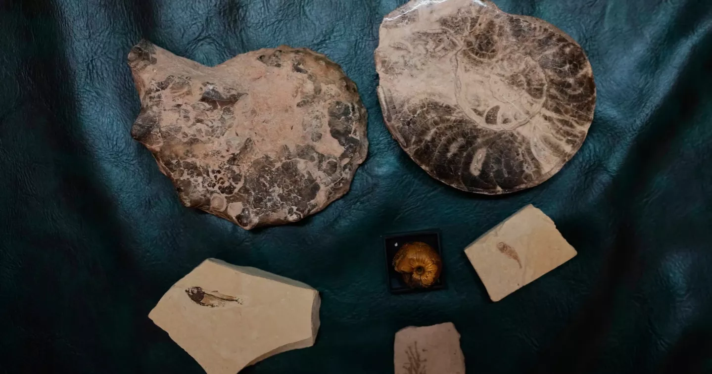 India's self-proclaimed 'history hunter' on drive to salvage the past for future generations