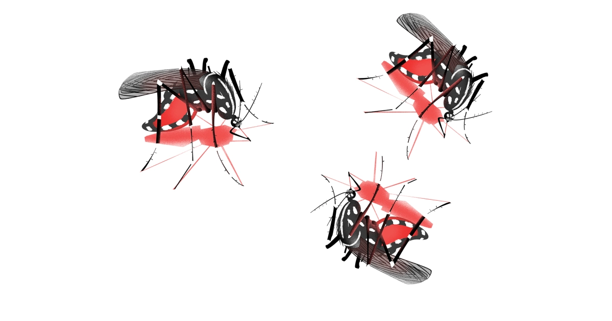 Dengue: 134 cases reported in 24hrs