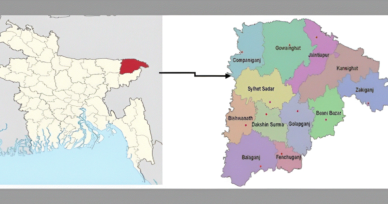 Trivial argument turns fatal: BNP leader killed in Sylhet