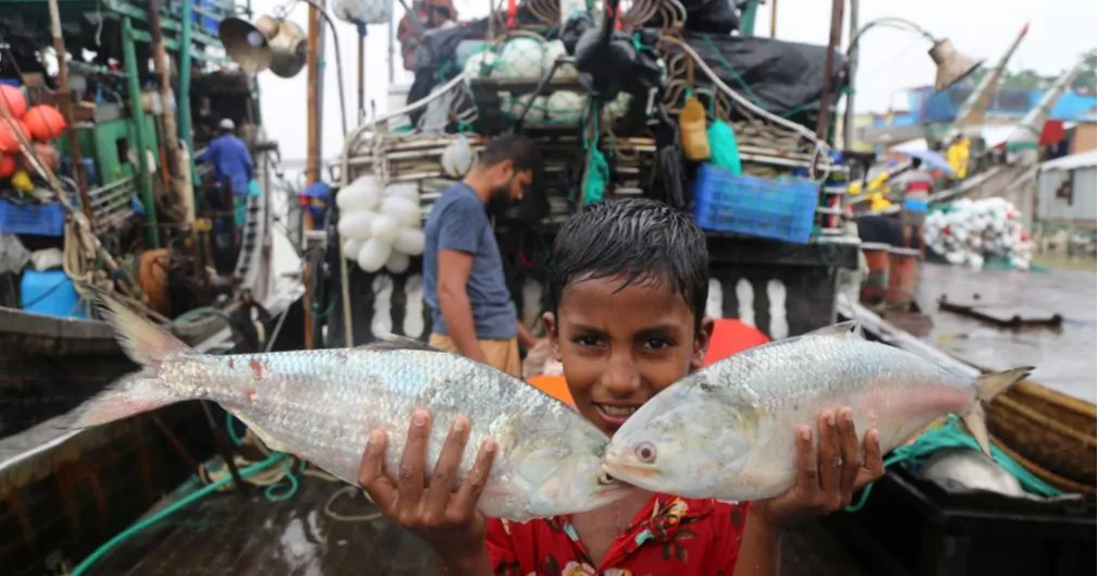 22-day nationwide hilsa fishing ban starts from Oct 8