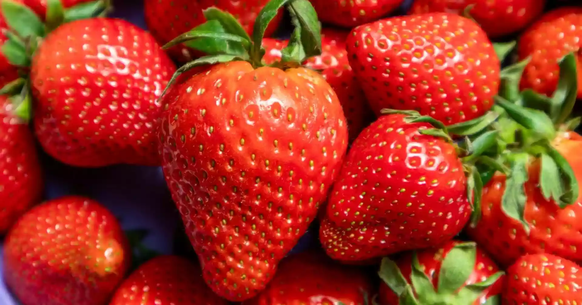 DNA ‘time stamps’ uncover surprising evolutionary history of strawberry