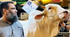 Sadeeq Agro chairman arrested in money laundering  case