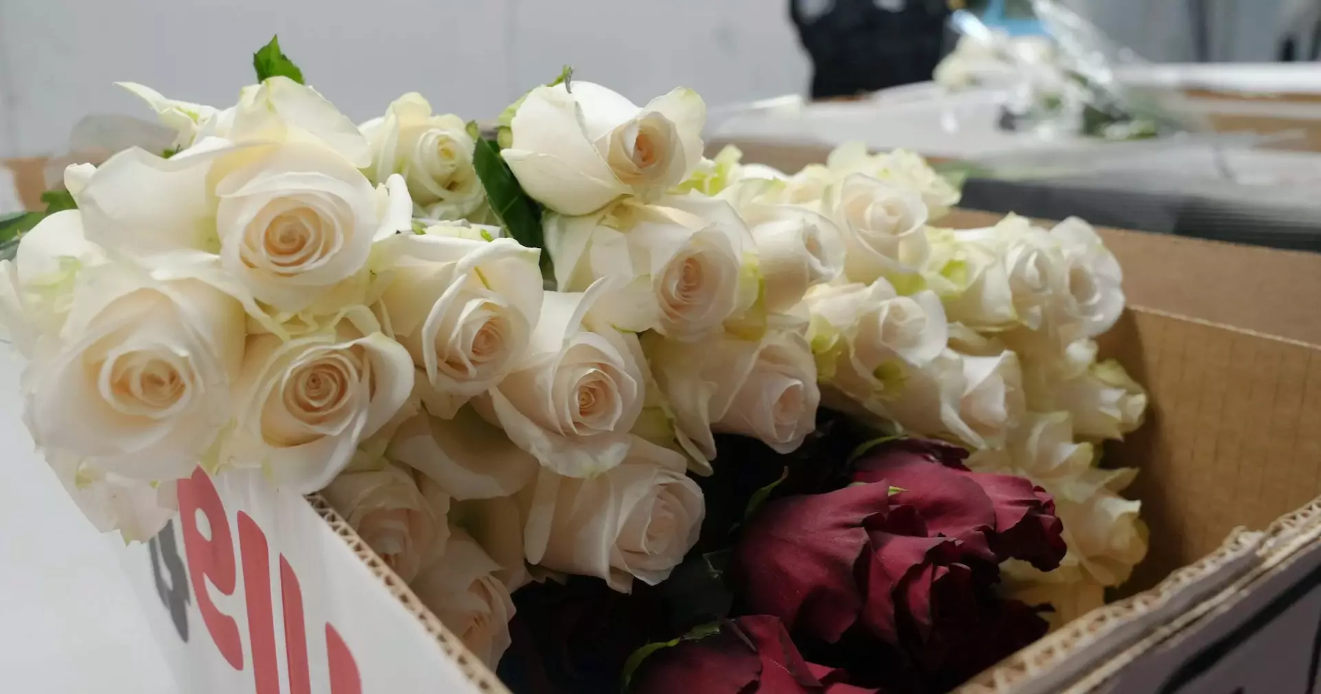 Valentine flower imports rise at Miami airport despite tariffs, higher costs