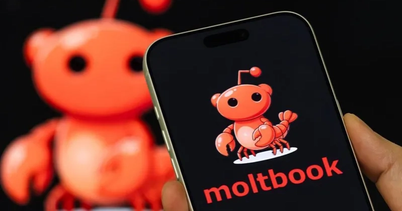 Moltbook emerges as social media platform built for AI