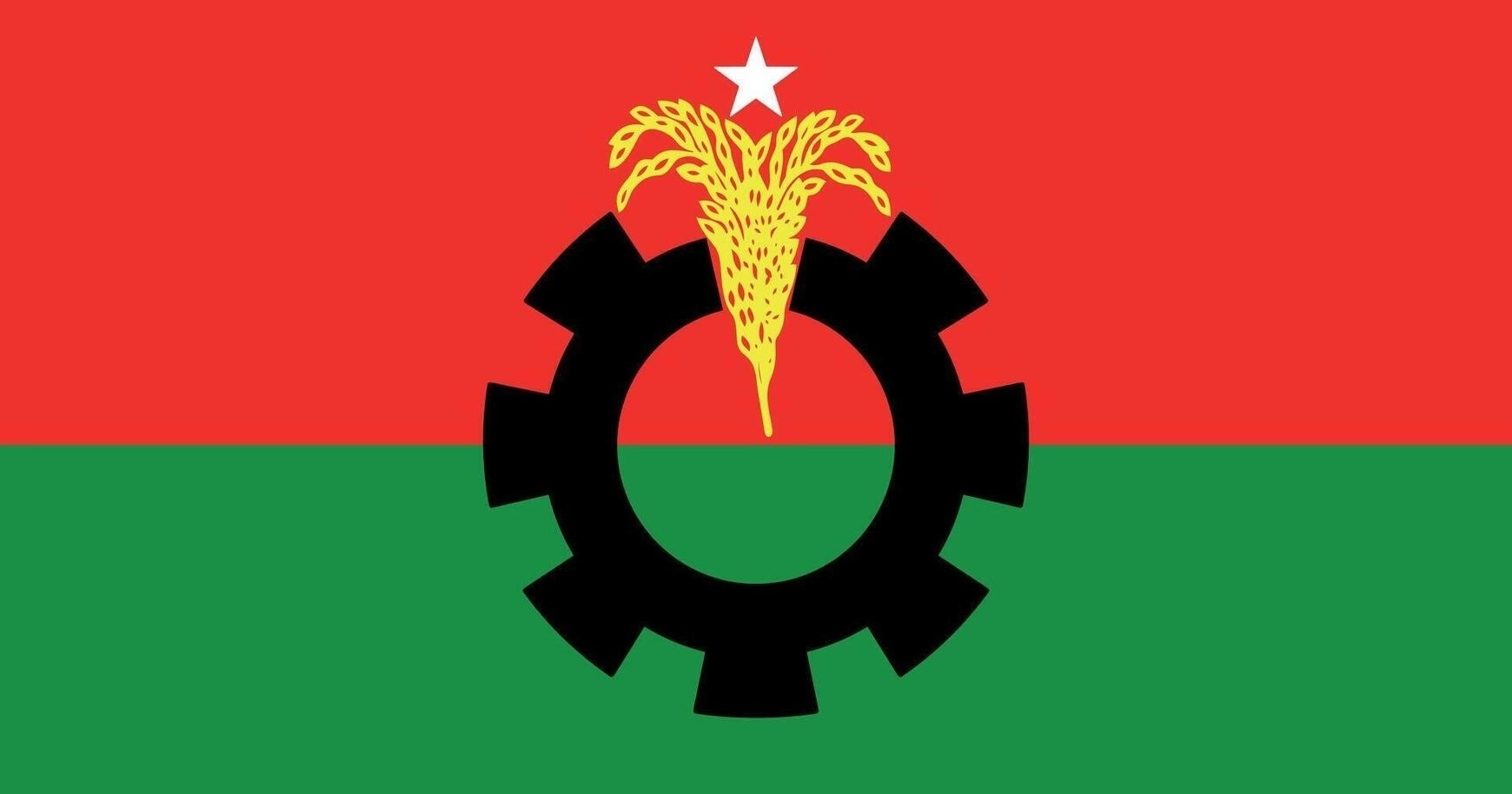 BNP forms 41-member election steering committee