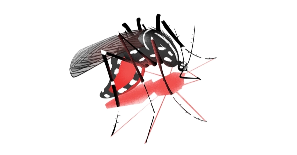 26 more dengue cases reported in 24hrs