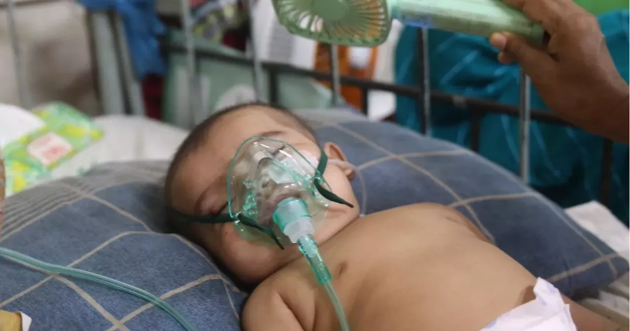 Measles-like symptoms claim five more lives
