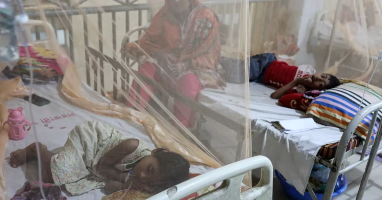 Dengue death toll hits 133 as 3 die in 24 hours