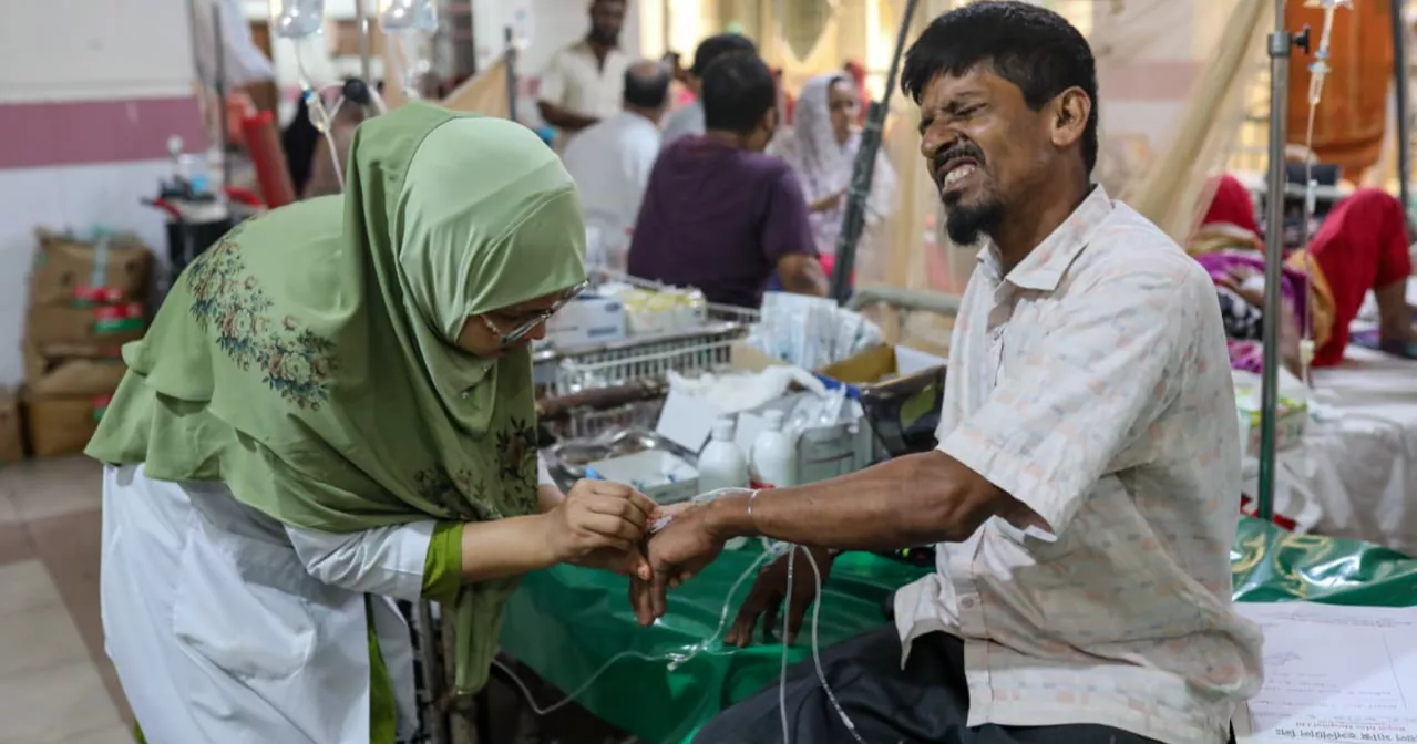 Dengue: 468 more dengue cases reported in 24hrs