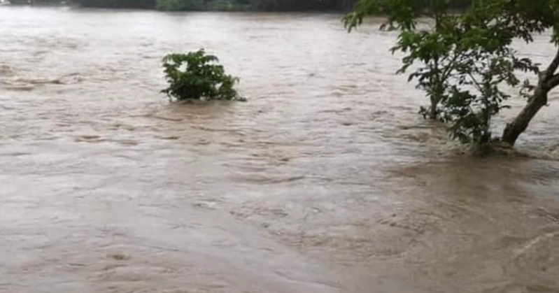Gomti River swells in Cumilla, chars submerged