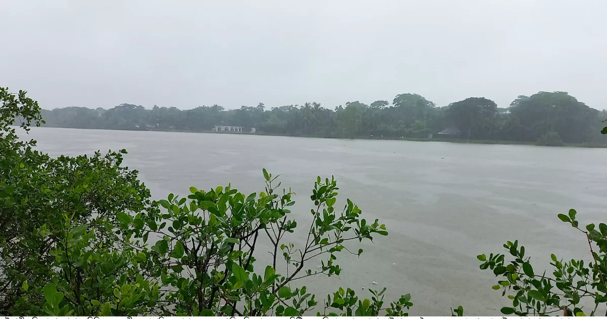 Inclement weather having severe impact on animal population of Sundarbans
