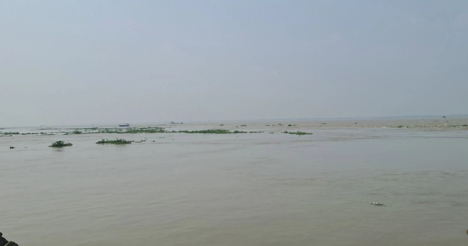 Chandpur fishery ghat falls silent as 22-day hilsa ban begins