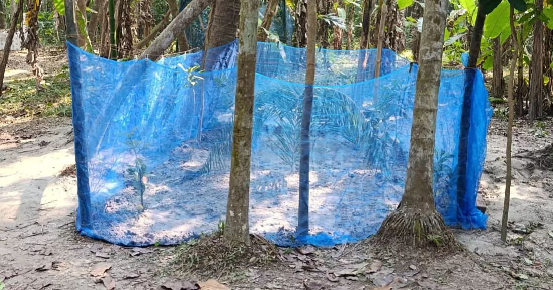 Bagerhat Tragedy: Jailed BCL leader’s wife, infant son laid to rest