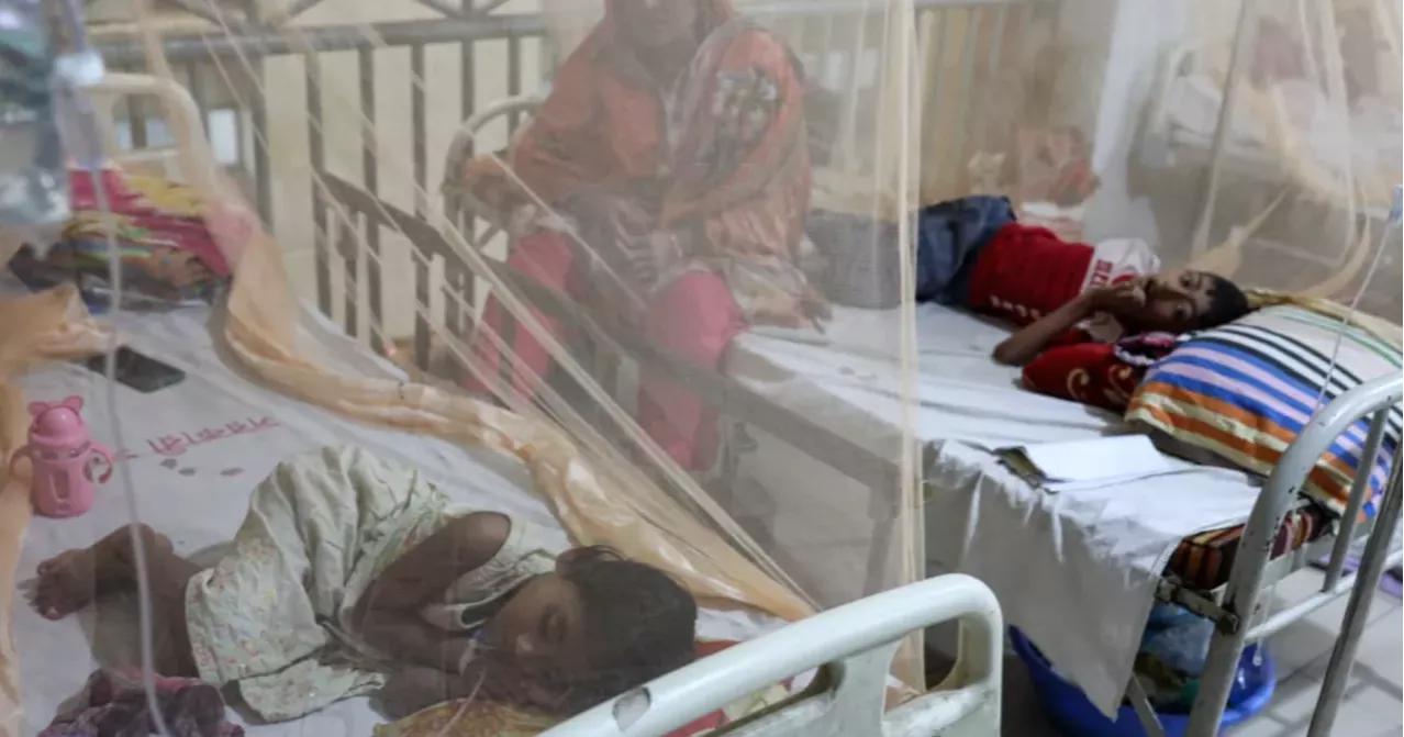 Two more die of dengue in 24 hours