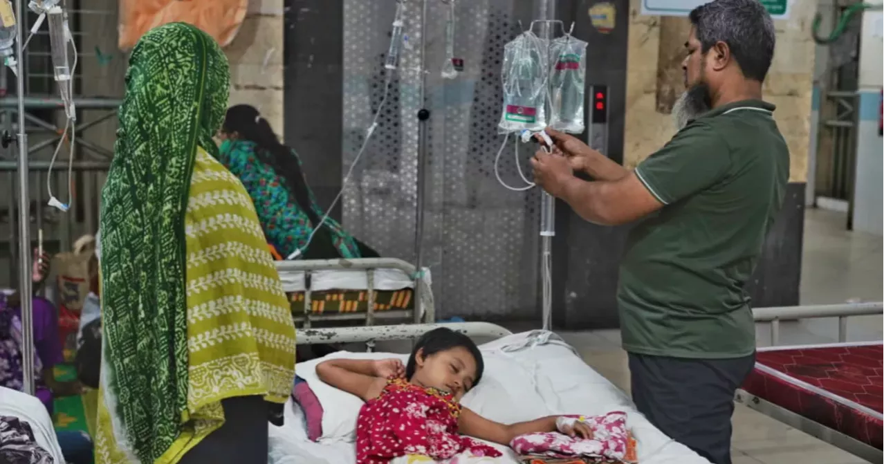 Dengue claims 4 more lives, 1,181 hospitalised in 24 hrs