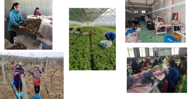 China's long-term poverty alleviation strategy: A model of sustainable development