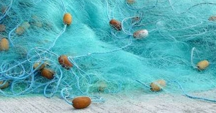 Navy seizes illegal fishing nets worth over Tk 25.78cr