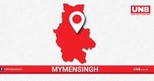Couple killed in Mymensingh road crash