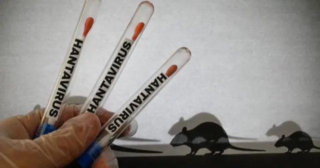 What we don’t know about the hantavirus