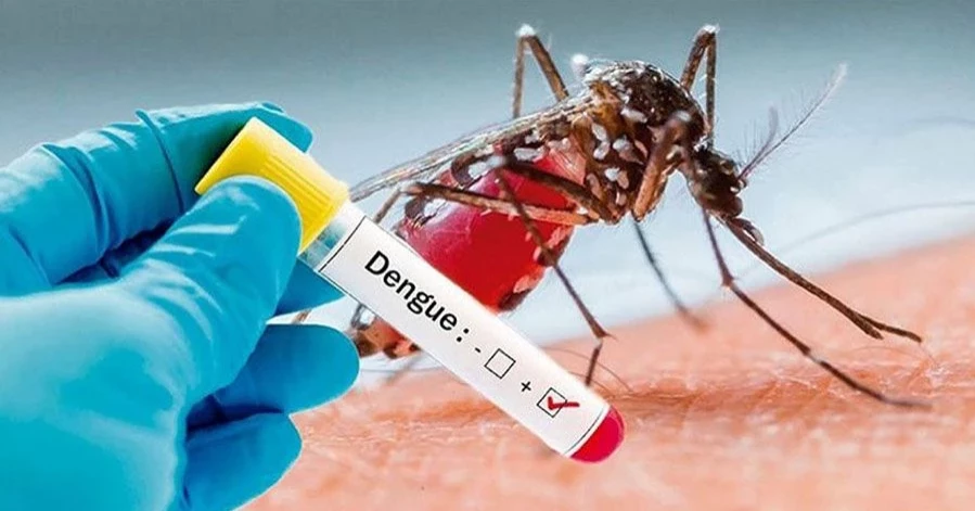 Dengue: 4 die, 1,314 hospitalised in 24 hours