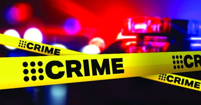 Dhaka may see shift in crime patterns ahead of national election: DB