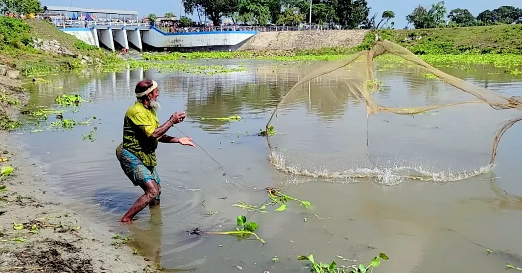 Thousands join traditional fishing festival at Burir Bandh in Thakurgaon
