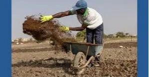 Iran war pushes farmers toward organic fertilizers as chemical prices surge