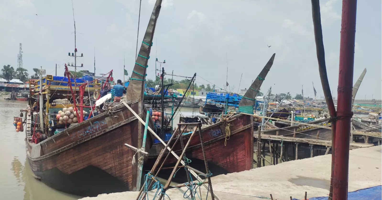Illegal trawling in Patuakhali threaten marine biodiversity, coastal livelihoods