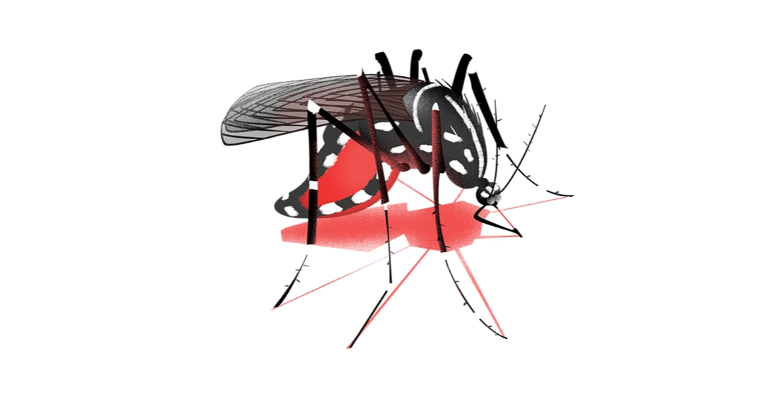 Dengue: 3 more die, 907 hospitalised in 24 hours