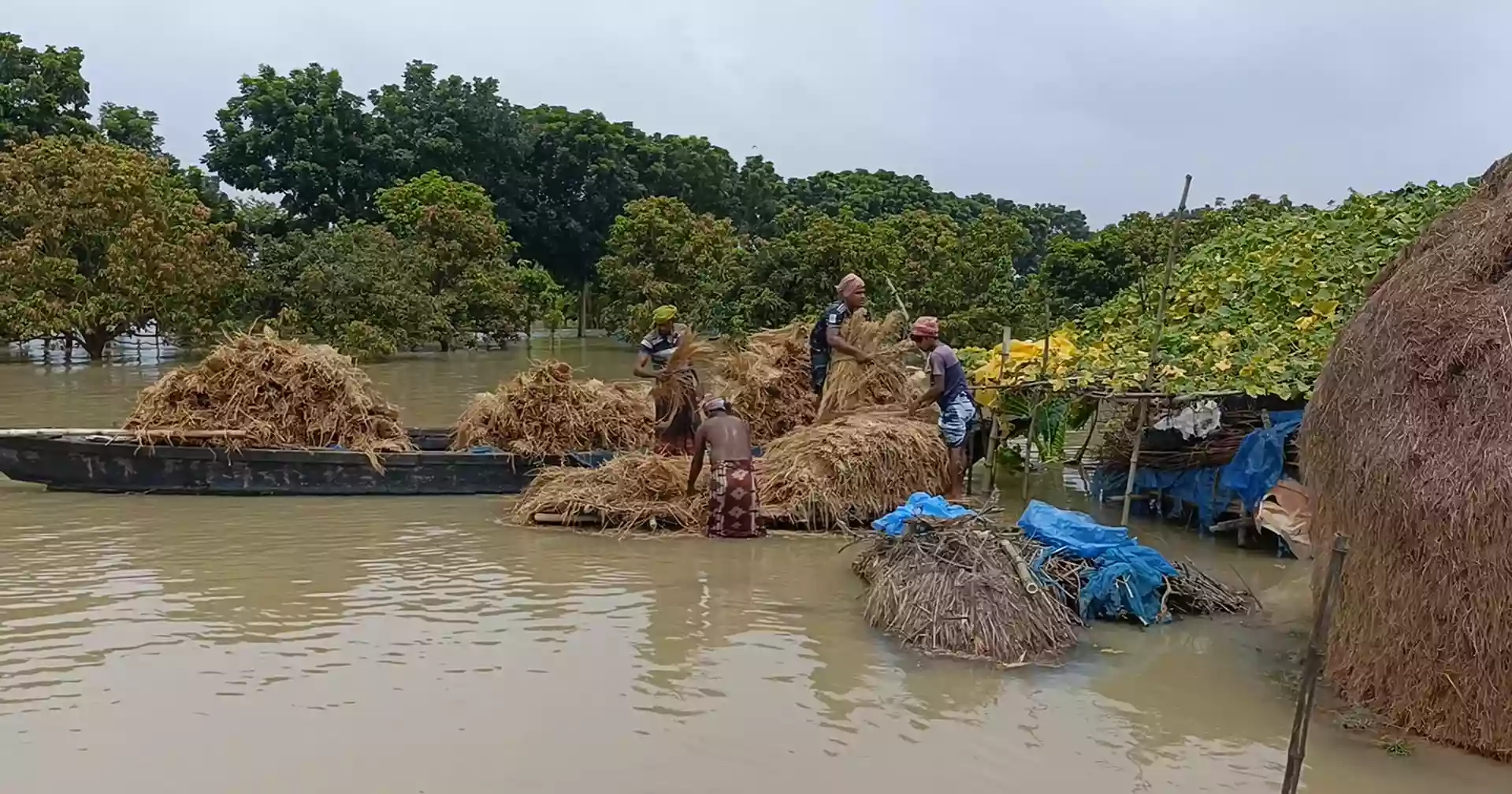 Padma water level starts falling in Chapainawabganj