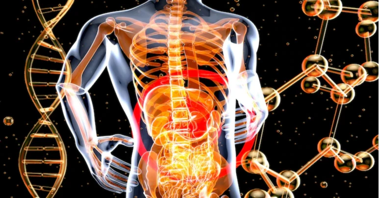 Simple treatment could prevent 75% of stomach cancer cases: Study
