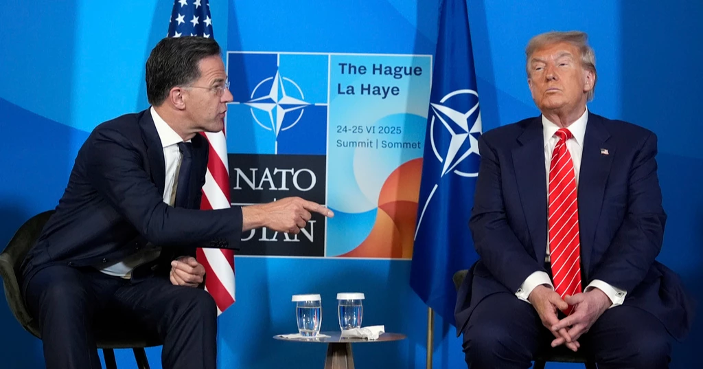 'Daddy has to sometimes use strong language': Nato chief on Trump expletive