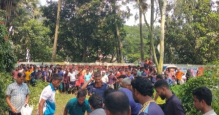 Easy-bike driver killed, vehicle snatched in Bogura