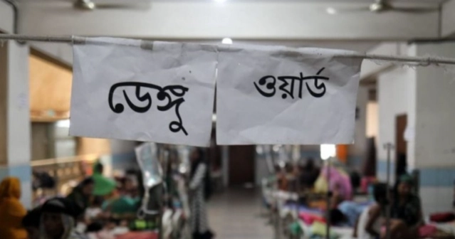 2 more die of dengue, 573 hospitalised in 24hrs