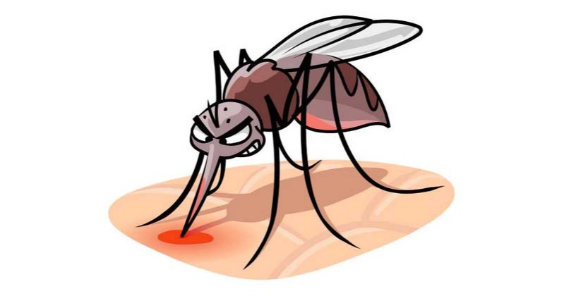 Dengue: 1 more death, 374 cases reported in 24 hours