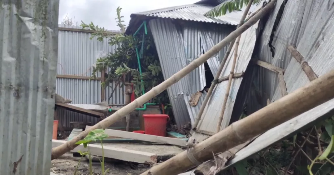 Hailstorm causes widespread damage in Lalmonirhat
