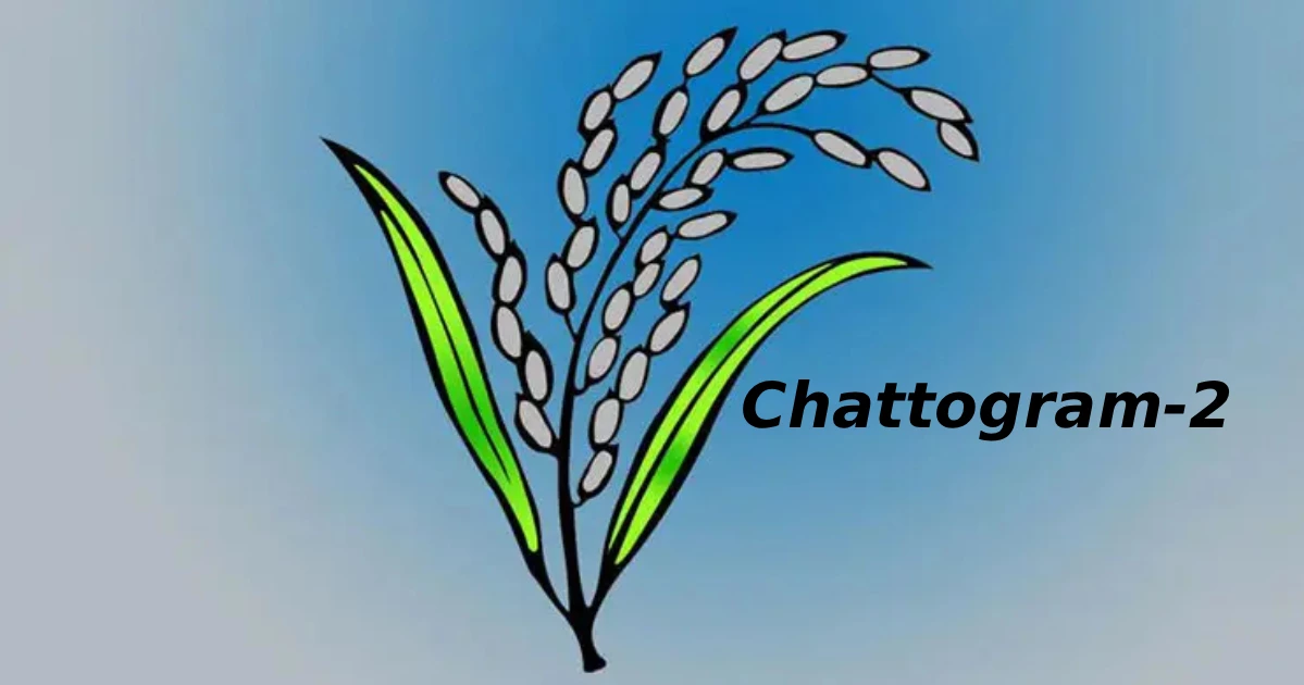 Chattogram-2 BNP candidate loses candidacy