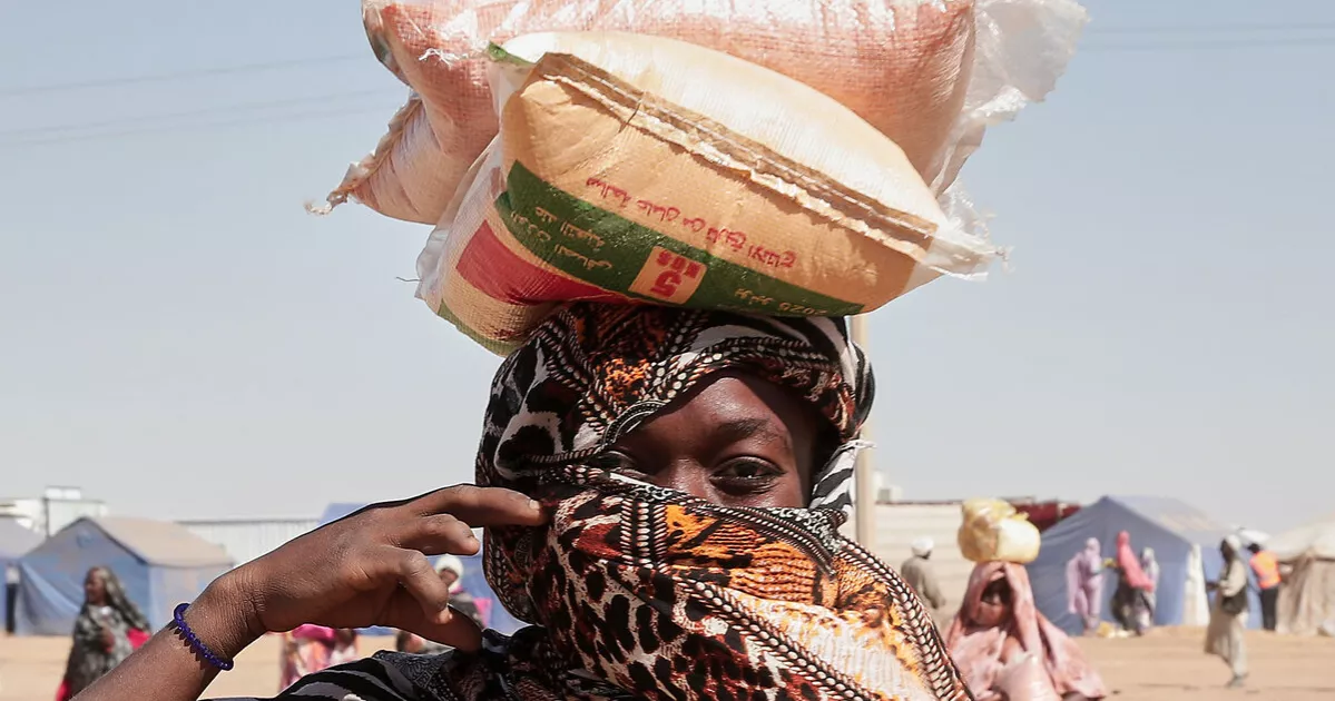 23 children die of malnutrition in Sudan’s Kordofan amid worsening famine