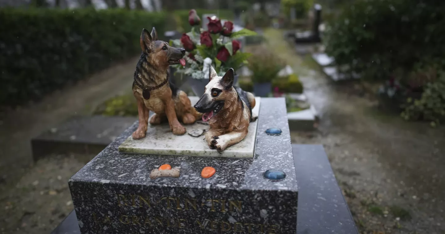 Losing a pet can cut deeper than many people realize. Here’s how friends can help