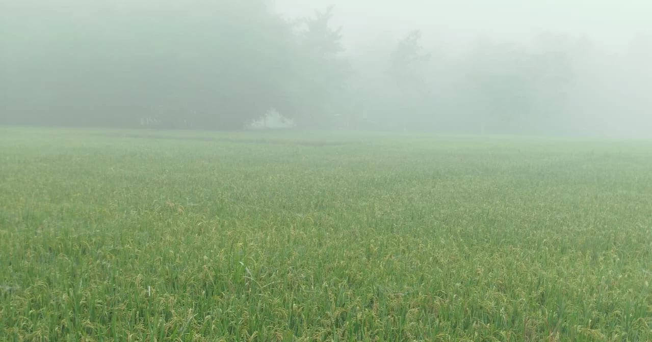 Bangladesh may face 10 cold waves this winter: Met Office