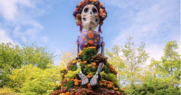 Marigolds take centre stage on Día de los Muertos altars to guide spirits home