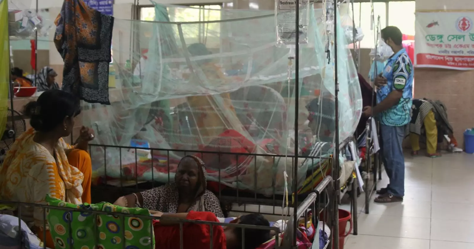 Dengue claims 5 more lives, 1,872 hospitalised in 24 hrs