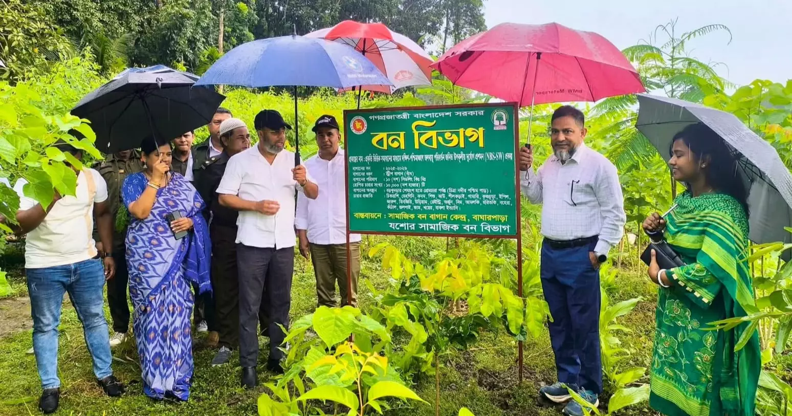 State Minister Faridul inspects 20-km strip, 5-km palm plantations in Jashore