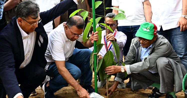 Plant one tree wherever possible, PM urges citizens